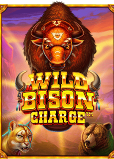 สมัคร แทง บอล fifa55 อย่างไรให้สนุกและคุ้มค่า